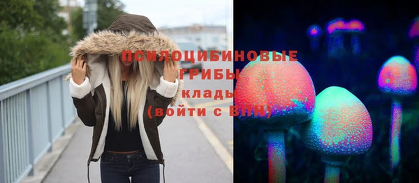марки lsd Белокуриха