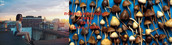 прущая мука Беломорск