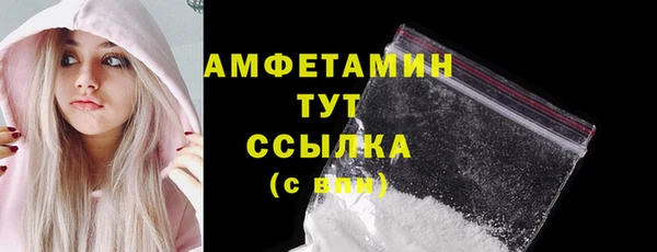 стаф Богданович