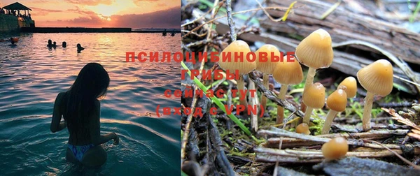 мескалин Богородицк