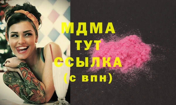 стаф Богданович