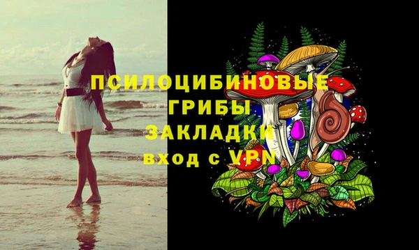 марки lsd Белокуриха