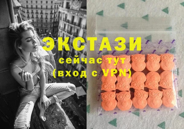 стаф Богданович