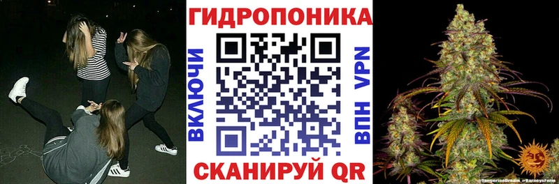 Канабис THC 21%  Володарск 